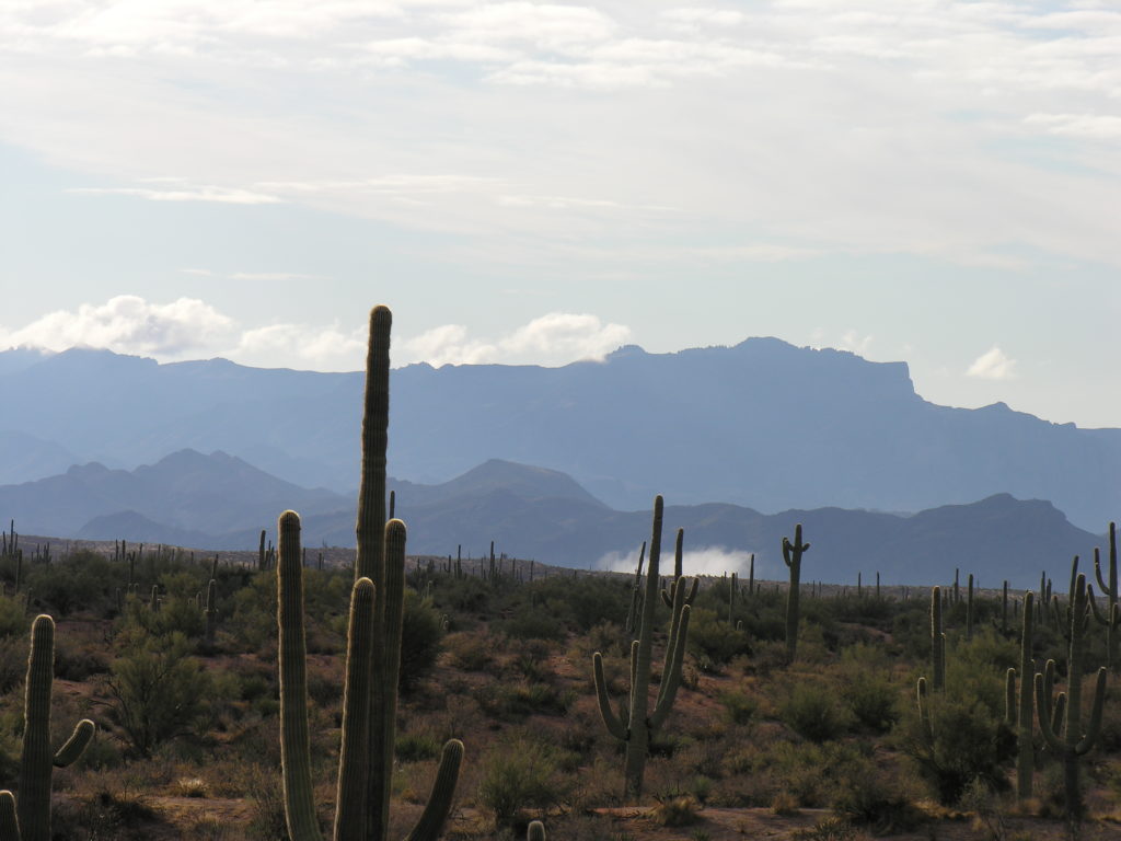 Sonoran desert around Phoenix, Arizona