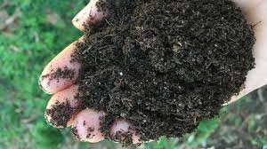 A hand full of rich finished compost 
