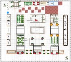 Image of a garden plot on graph paper.