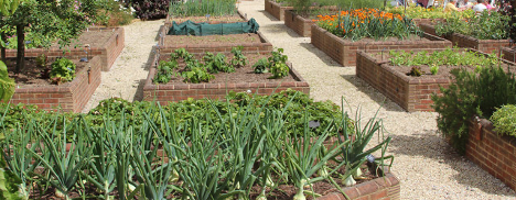 Picture of raised garden beds.