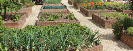 Image of Raised garden bed in desert setting