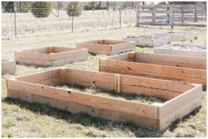 New constructed raised beds