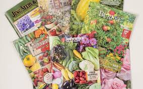 Seeds for Planting Your Garden