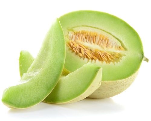 Honeydew Melon