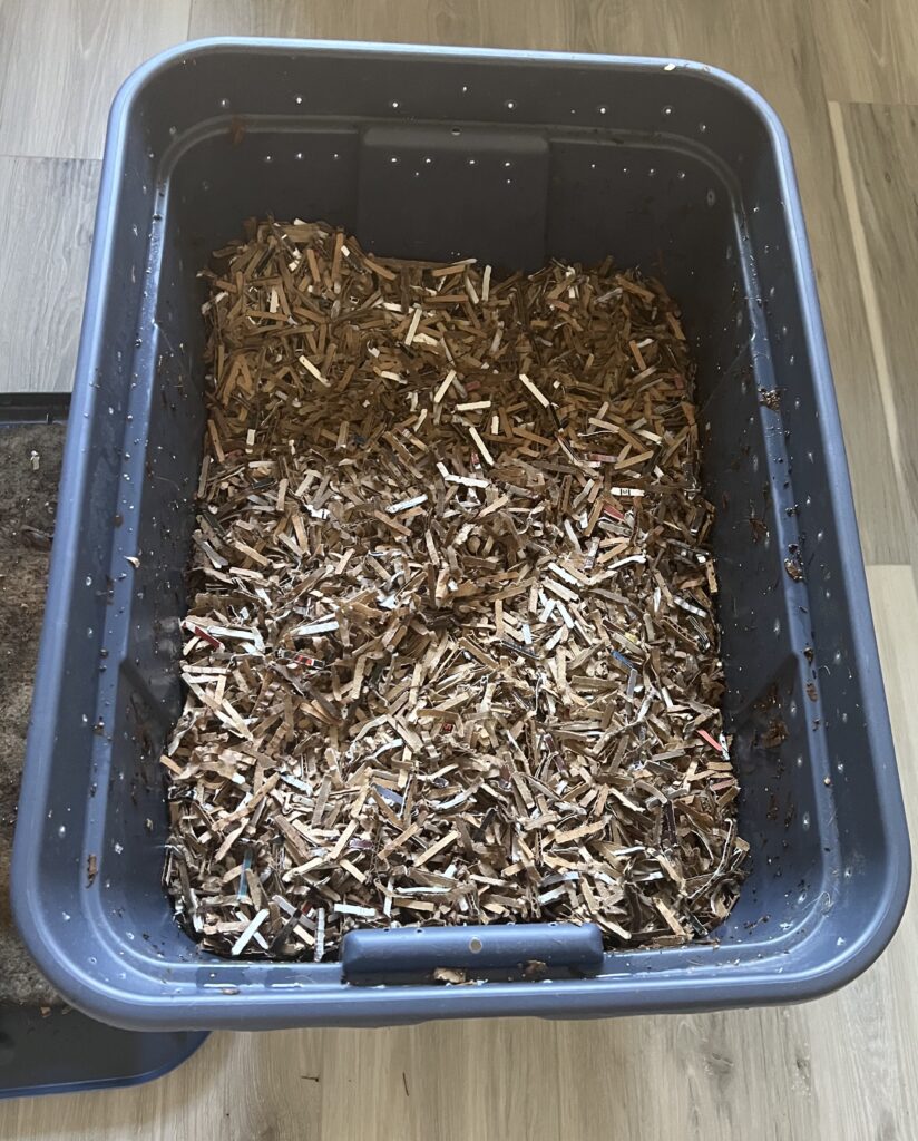 Worm Bin/Farm